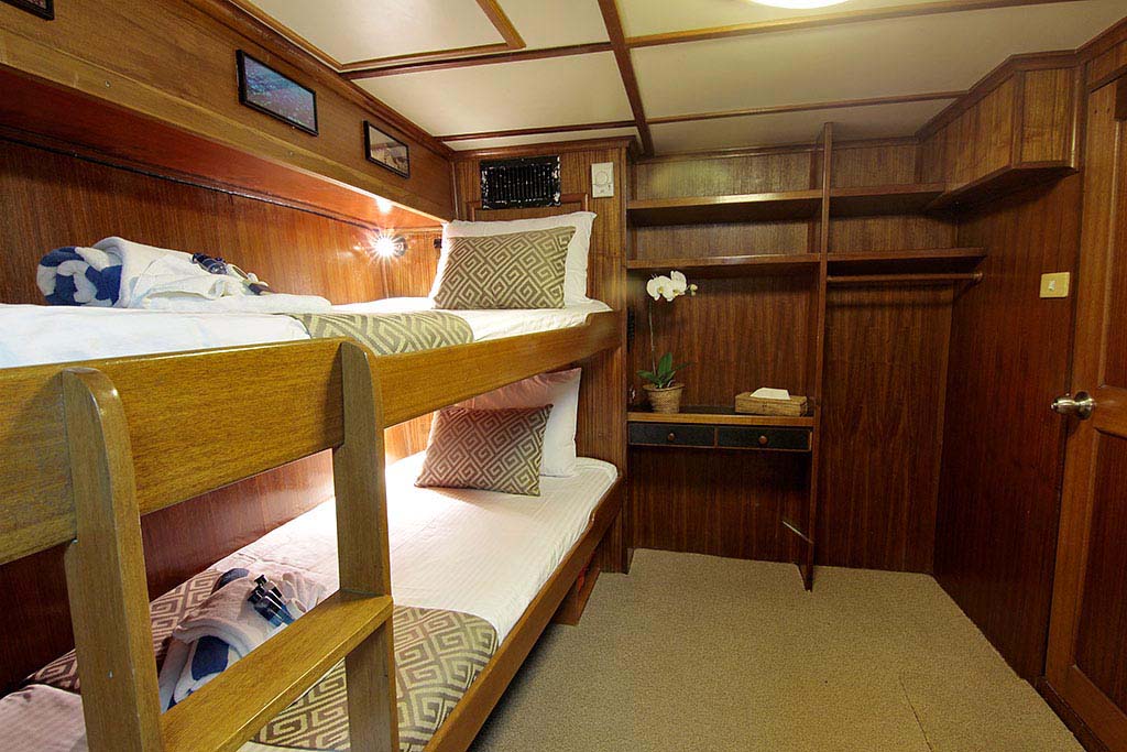 Mermaid II Budget Cabin