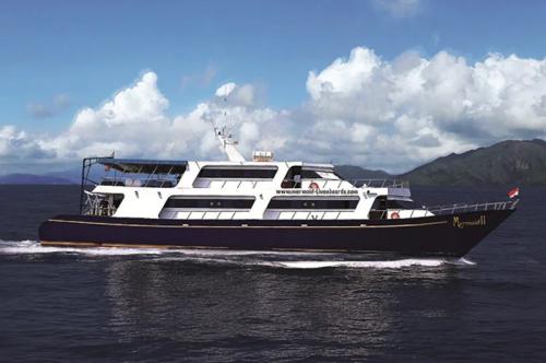 08D/07N Bali-Komodo-Bali-with Whale Sharks of Saleh Bay Budget Cabin Mermaid II Liveaboard 2025