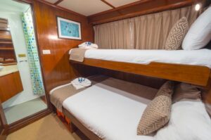 Mermaid II Liveaboards Indonesia