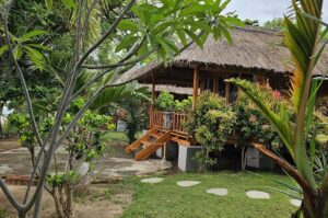 kalimaya-dive-resort